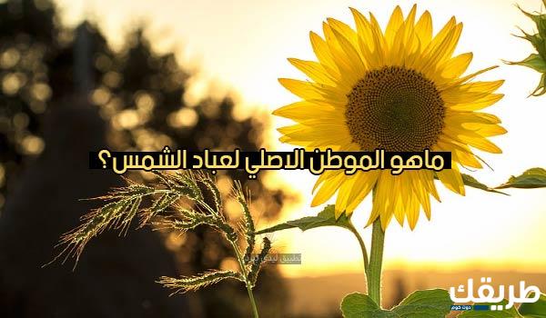 أسئلة ثقافية علمية 2024 6 أسئلة ثقافية علمية 2024